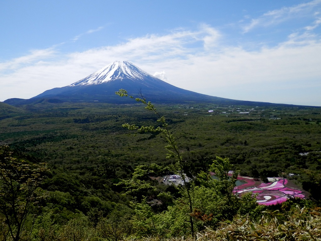 竜ヶ岳 -- 富士山を望む