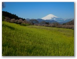 富士見塚から高尾山