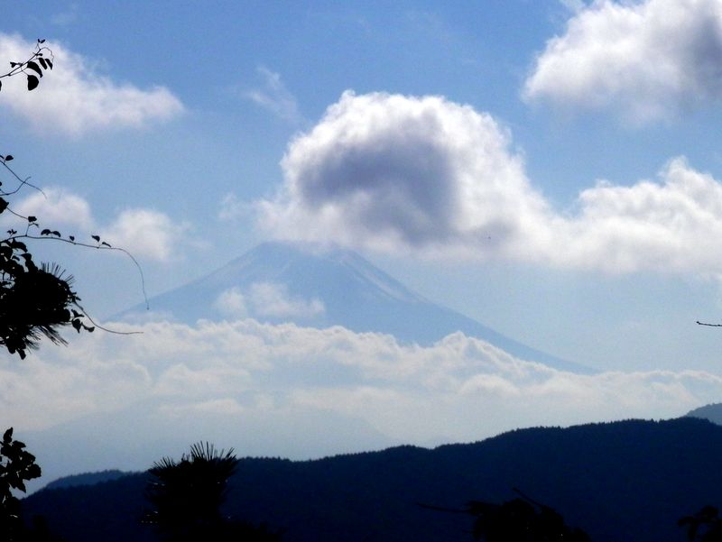 日原峠付近より、やっと富士山を望めた