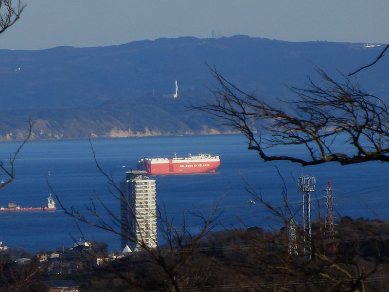 東京湾観音と自動車運搬船