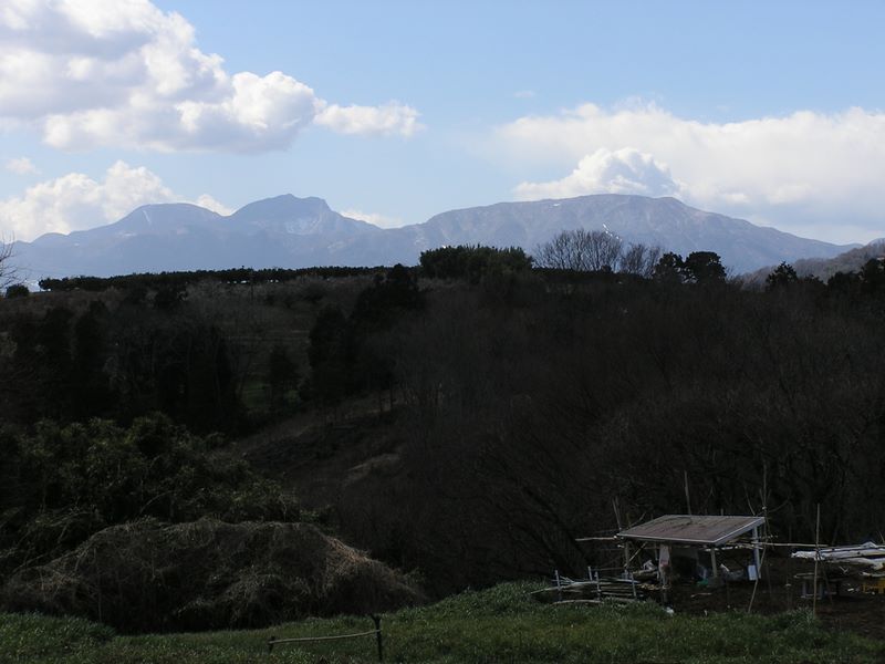 渋沢丘陵から望む明神ヶ岳、神山、駒ヶ岳