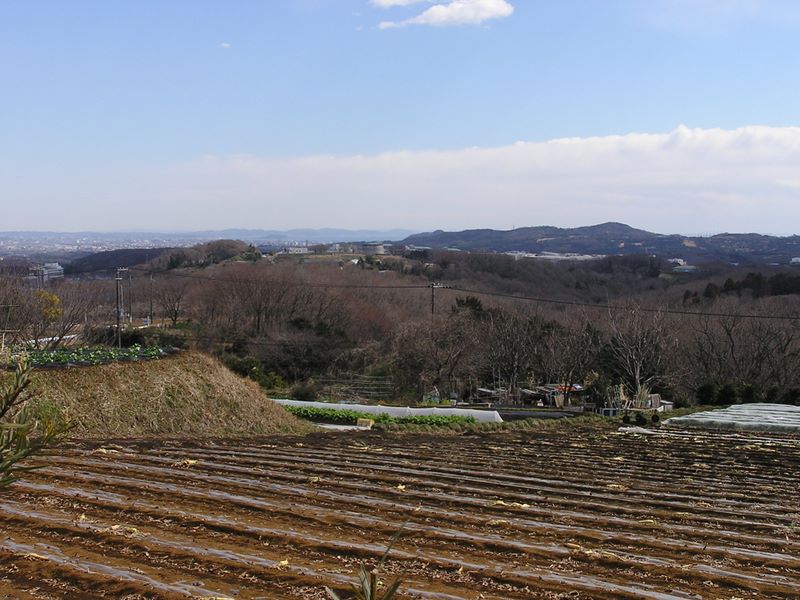 渋沢丘陵と頭高山 -- 三浦半島方面を望む