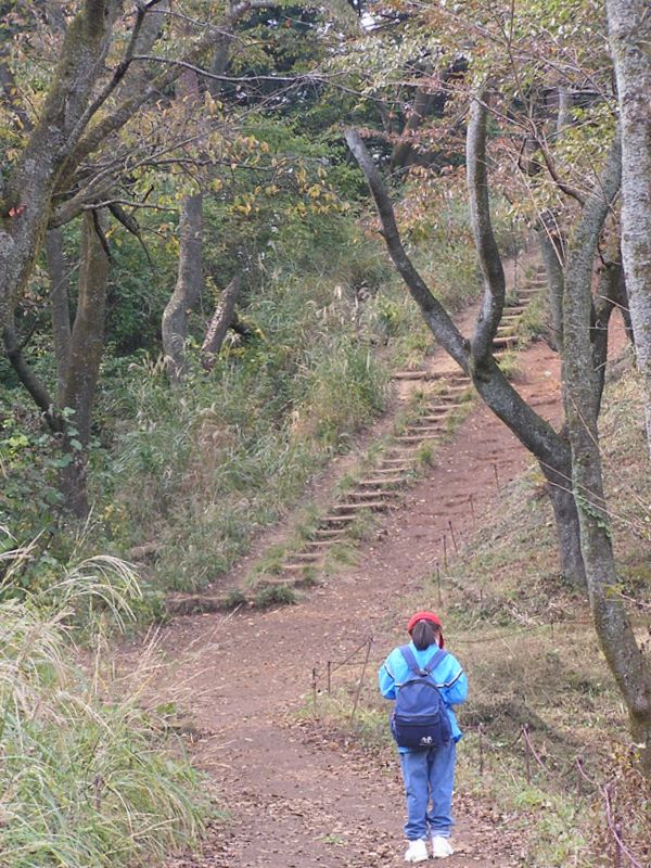 高尾山から城山 -- 3種類の歩道が楽しめる坂？