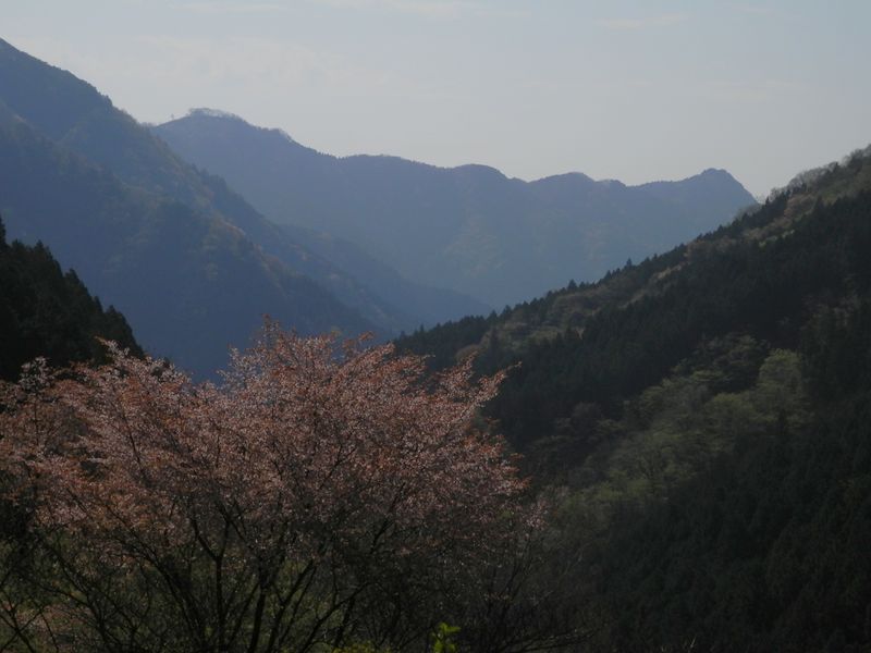 ヘリポートの上から、惣岳山（右）を望む