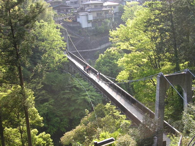 高水三山 -- 多摩川に架かる吊り橋