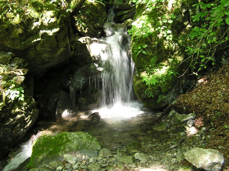 鷹ノ巣山 -- 巳ノ戸沢沿いの登りで、早くも汗だくになった顔と体をこの滝つぼで洗う