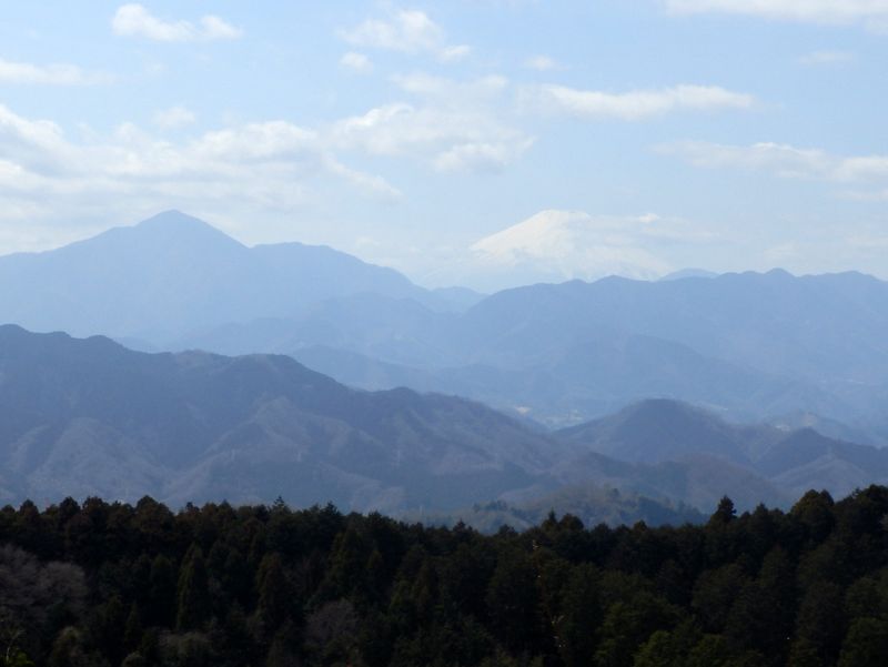 一丁平展望台より、富士山と大室山