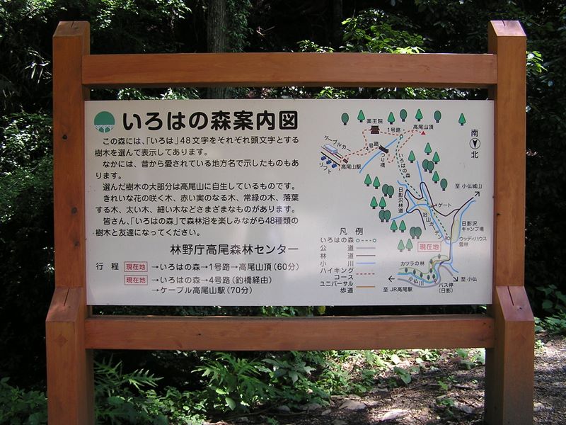 高尾山・いろはの森 -- 森の図書館の前から山頂まで、普通に歩けば1時間だ