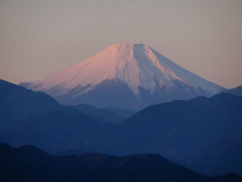 富士山が桜色に