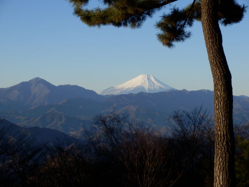 城山っぽい構図で富士山と大室山