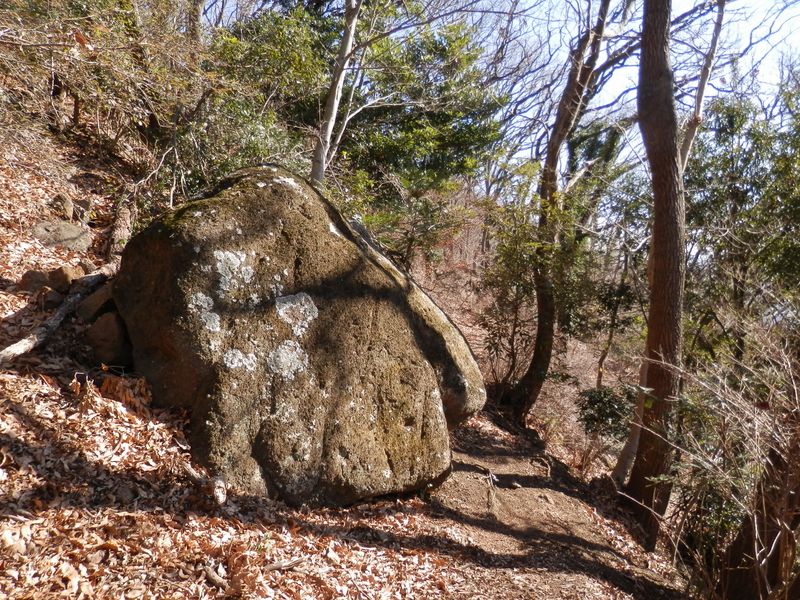 尾根道にデンと、大きな岩