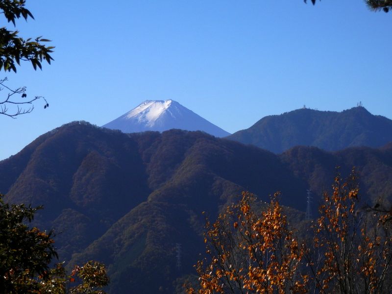 鶴ヶ鳥屋山から富士山の頭