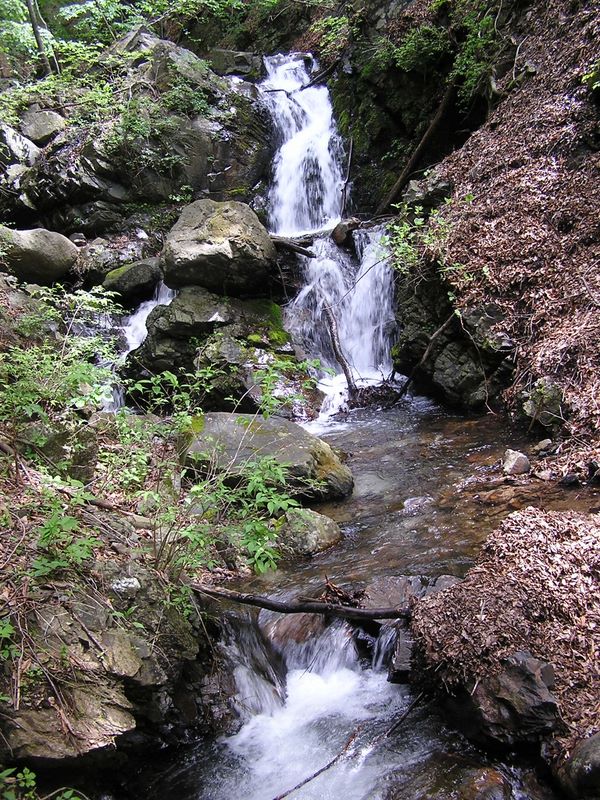 滝子山 -- 三丈の滝