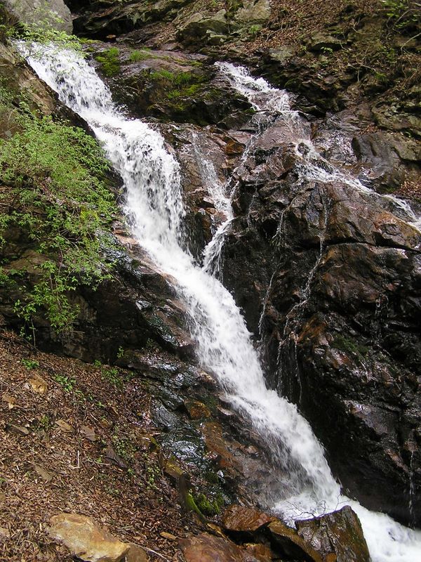 滝子山 -- このルートはたくさんの滝を見られる