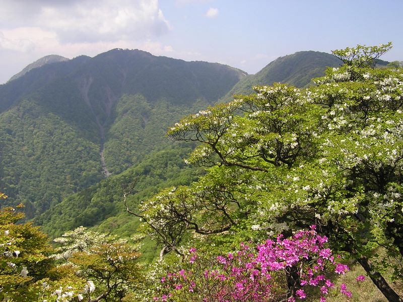 丹沢山から蛭ケ岳への稜線