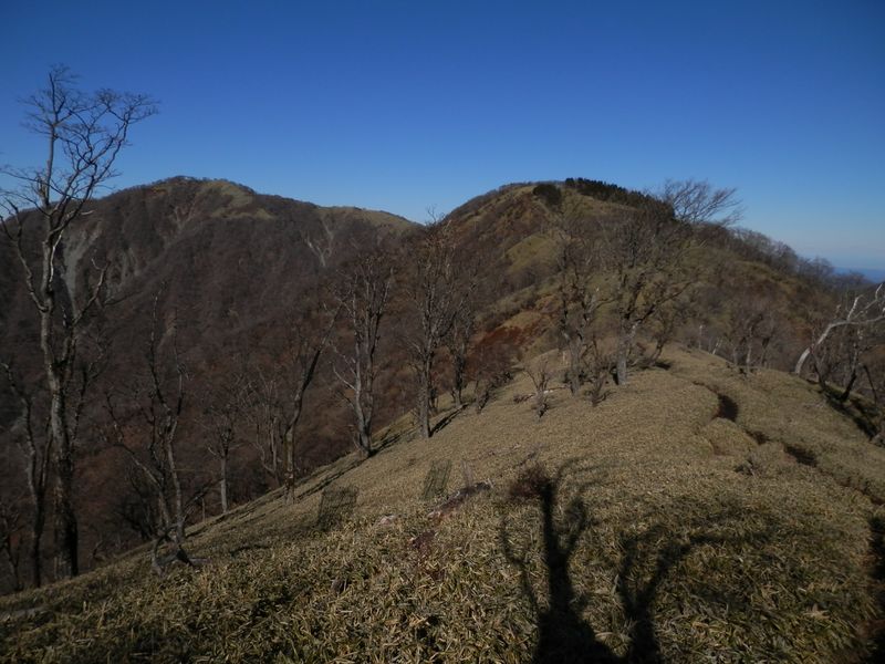 竜ヶ馬場（右）と不動ノ峰。緑の笹に覆われた稜線