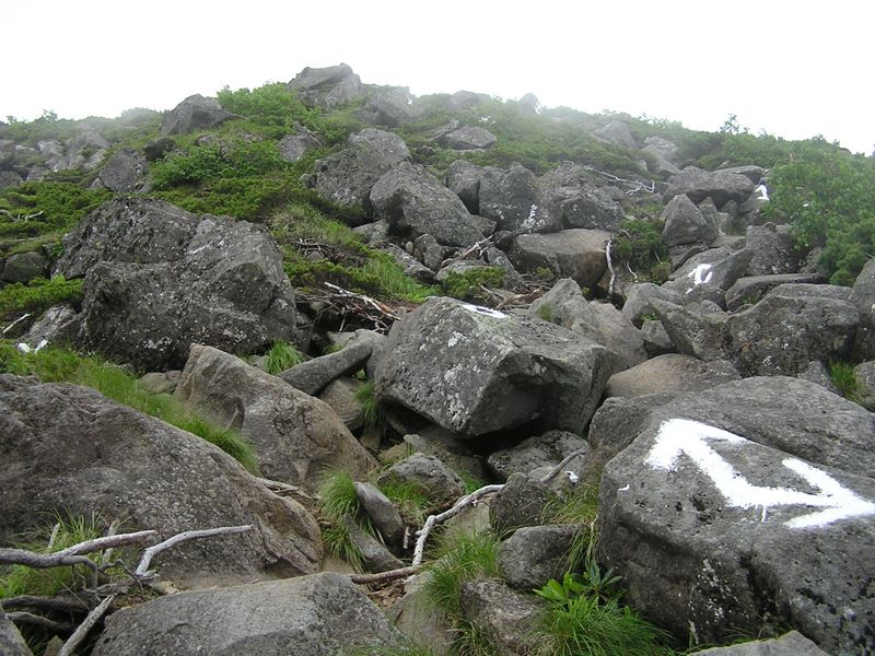 天狗岳 -- 山頂付近の石には白ペンキのマークが