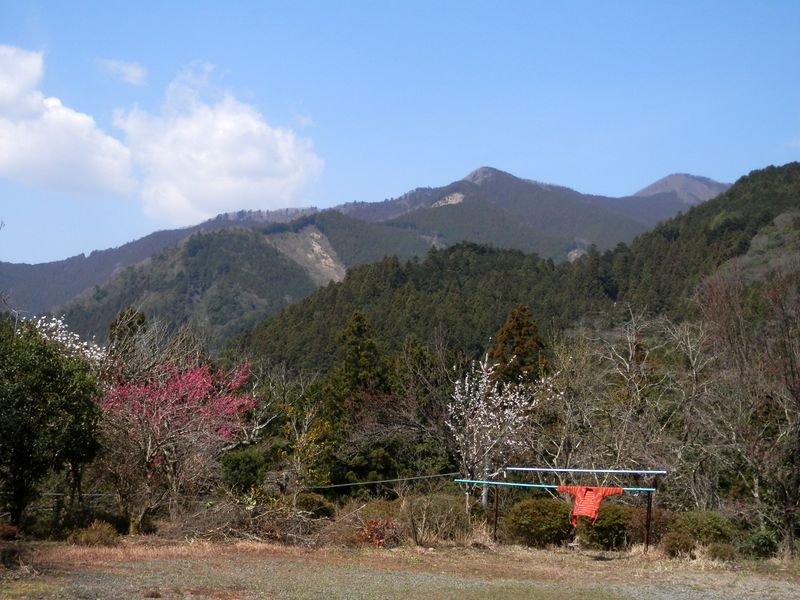 本仁田山とチクマ山