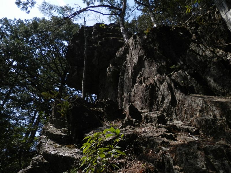 金毘羅山の大岩
