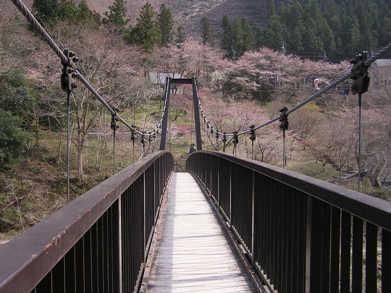 鉄五郎新道から大塚山 -- 杣の小橋より、御岳苑地を振り返る