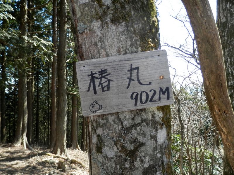 椿丸 -- 山頂を示す標識