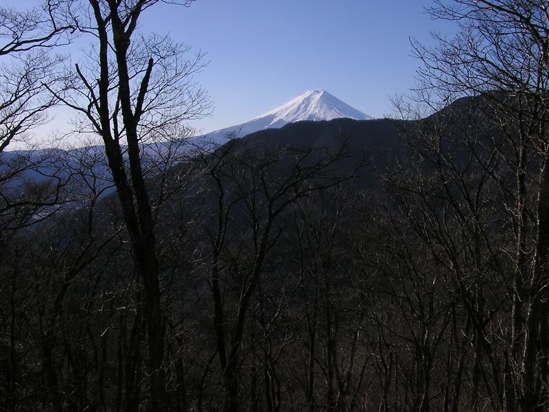 鶴ヶ鳥屋山頂から望む富士山