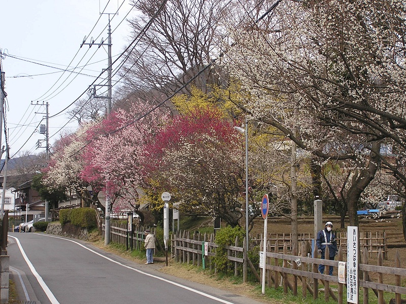 裏高尾 -- 駒木野バス停と小仏関所跡