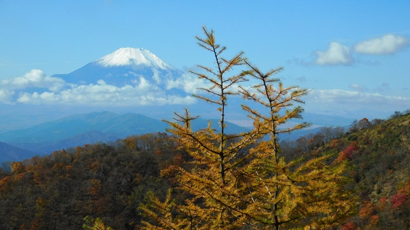 マルガヤ尾根より、富士山と鍋割山南稜を望む