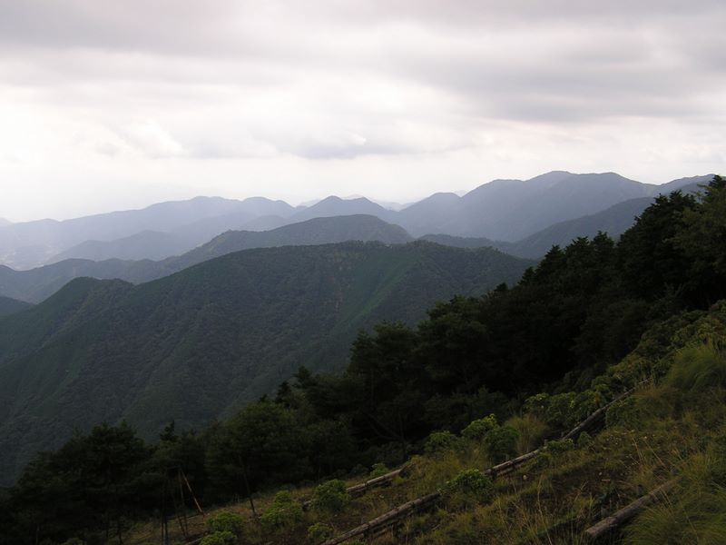 ヨモギ平・三ノ塔 -- 烏尾山より望む檜岳（右）、シダンゴ山（中央）方面と大倉尾根（手前）