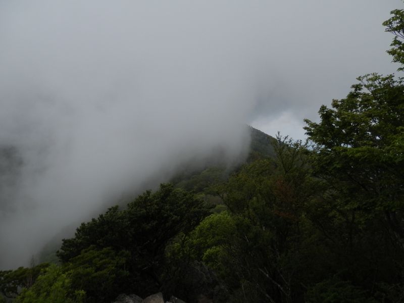 万三郎方面は霧で覆われていた
