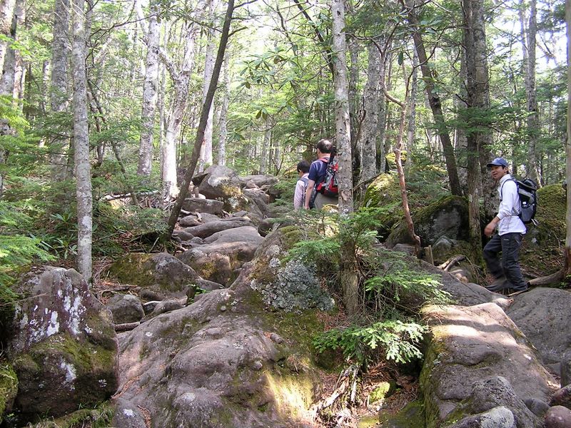 編笠山 -- 登山道は岩石が露出しています