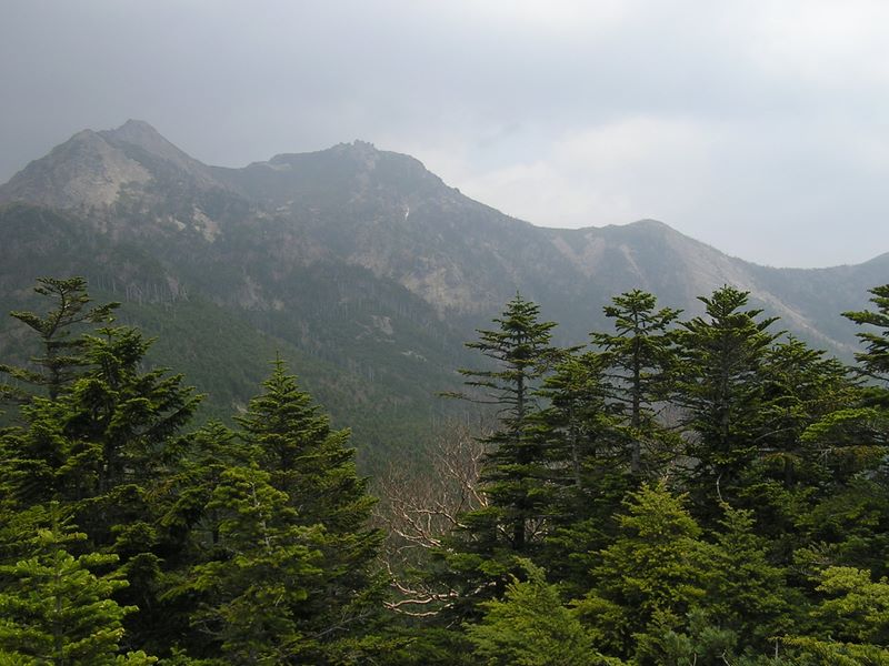 編笠山 -- 左からギボシ、権現岳、三ツ頭