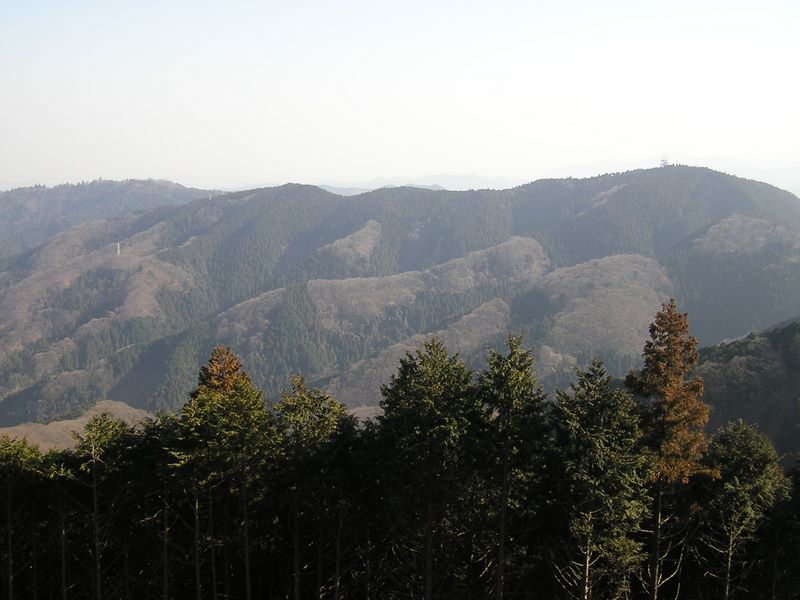 景信山より城山と高尾山を望む。杉花粉の飛散が凄まじい