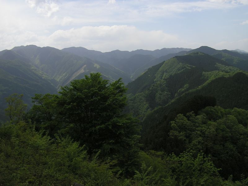 岩茸石山より望む川苔山（左）から棒ノ折山（右）に連なる山稜