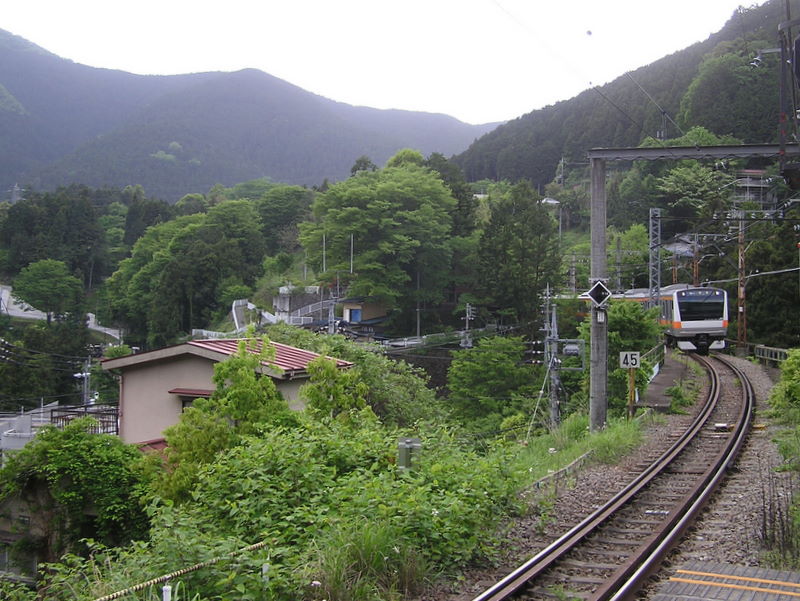 棒ノ折山から岩茸石山 -- 青梅行き電車がやって来た