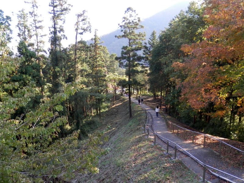 仏果山・高取山 -- あいかわ公園、風の丘への道