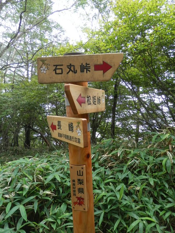 長峰へのルートは「道跡不明瞭通行注意」
