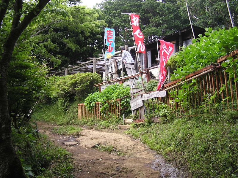 円海山・大丸山 -- 峠の茶屋