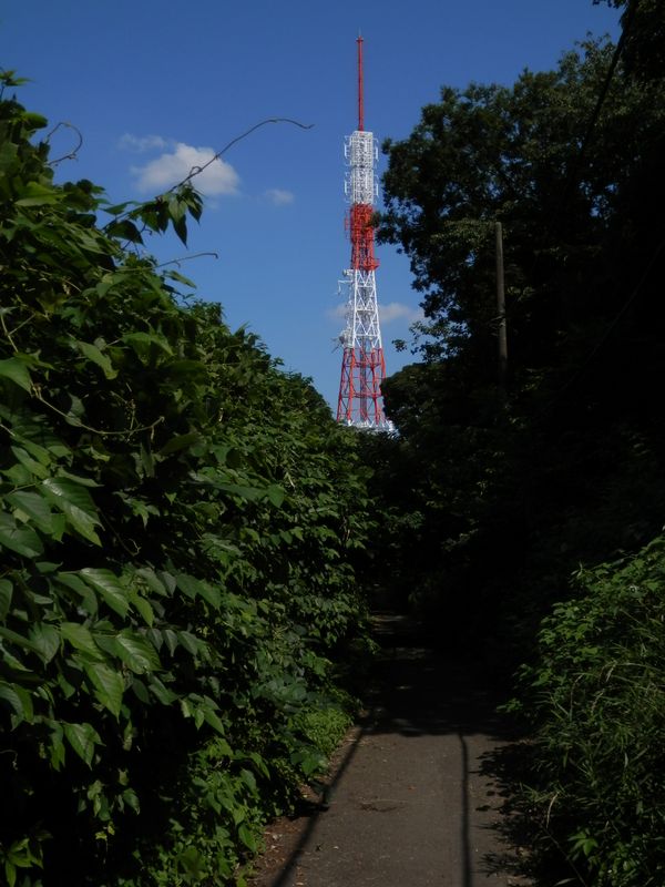円海山のNHK-FM電波塔
