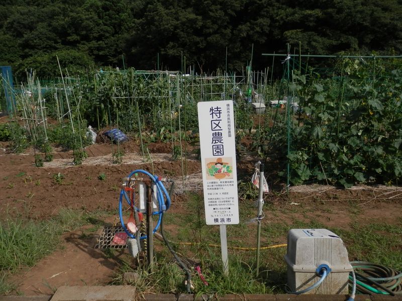 横浜市市民利用型農園