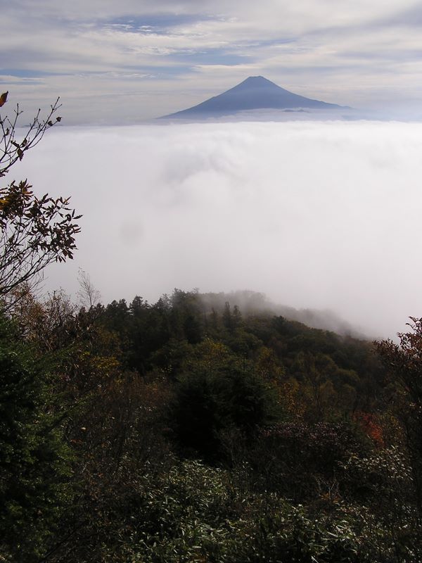 雁ヶ腹摺山 -- 下の展望台からの富士山