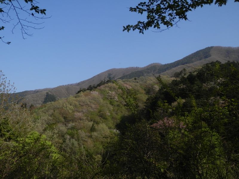 麻生山（右）と三ツ森北峰を望む