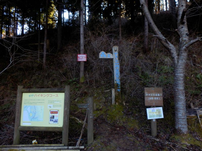 春ノ木丸ハイキングコース入口（南口）