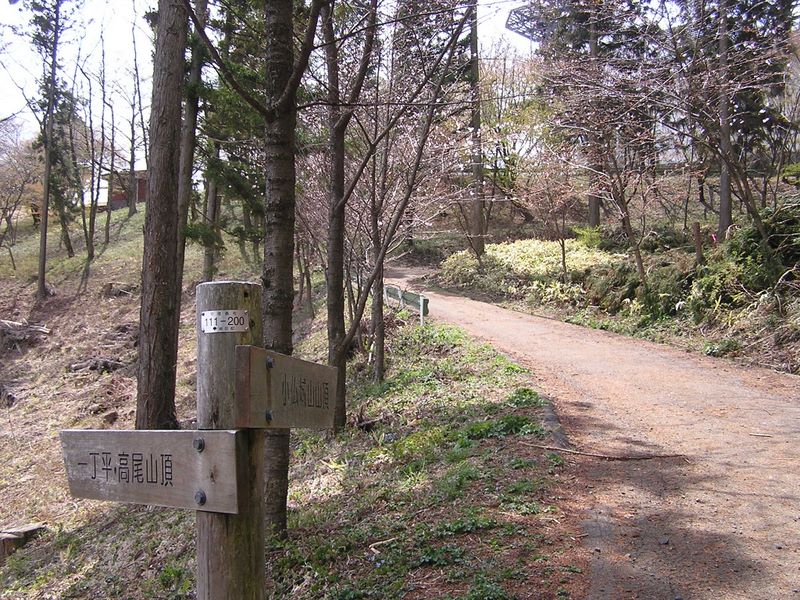日影林道から城山 -- 日影林道は、城山山頂に至るまでずっと舗装されている