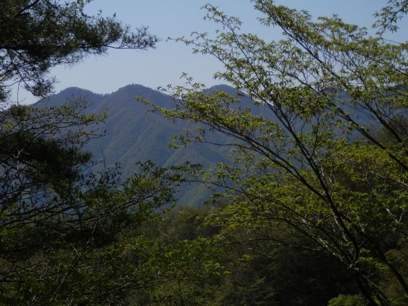 東海自然歩道に立つと、丹沢三峰の出迎えを受ける