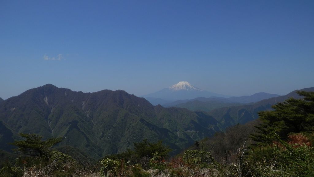 檜洞丸と富士山