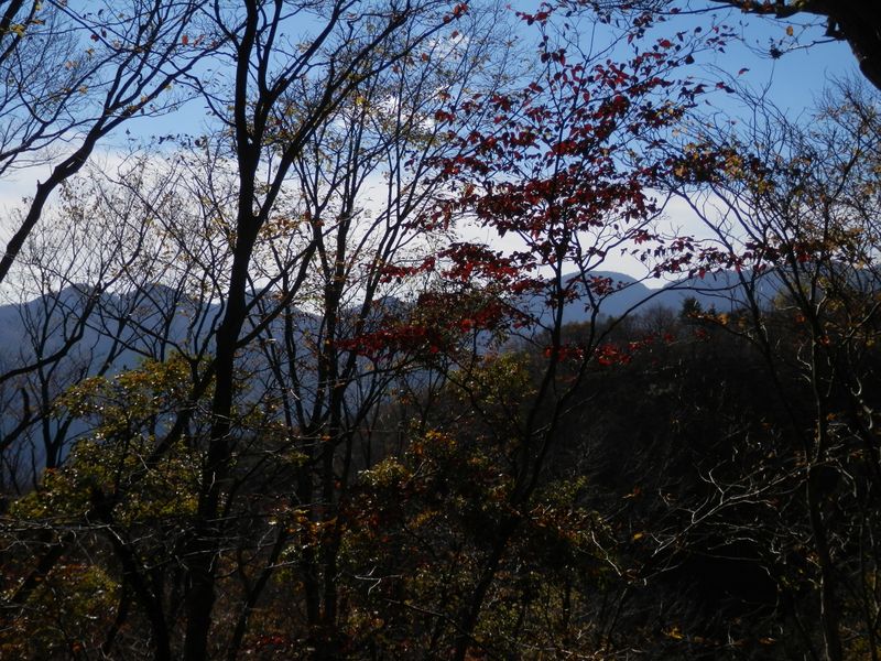 丹沢三峰と丹沢山を望む