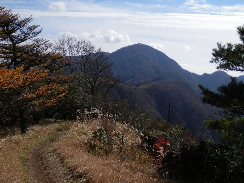 袖平山を後に、姫次に戻る道。正面は蛭ヶ岳