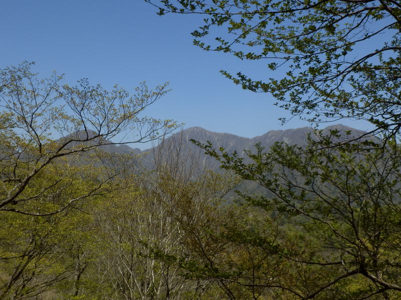 蛭ヶ岳山荘が見える