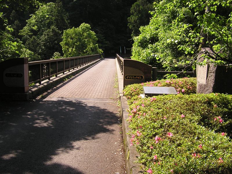 本仁田山 -- 数馬峡橋で、多摩川右岸に渡る